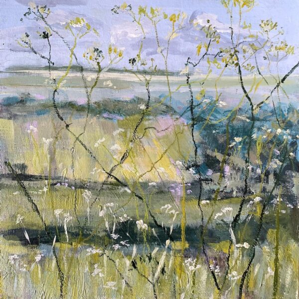 Last of the Cow Parsley